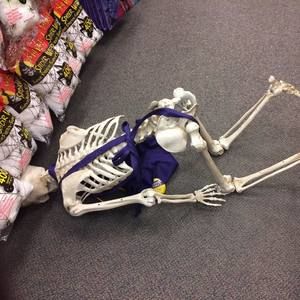 Meet your Posher, Chassidy